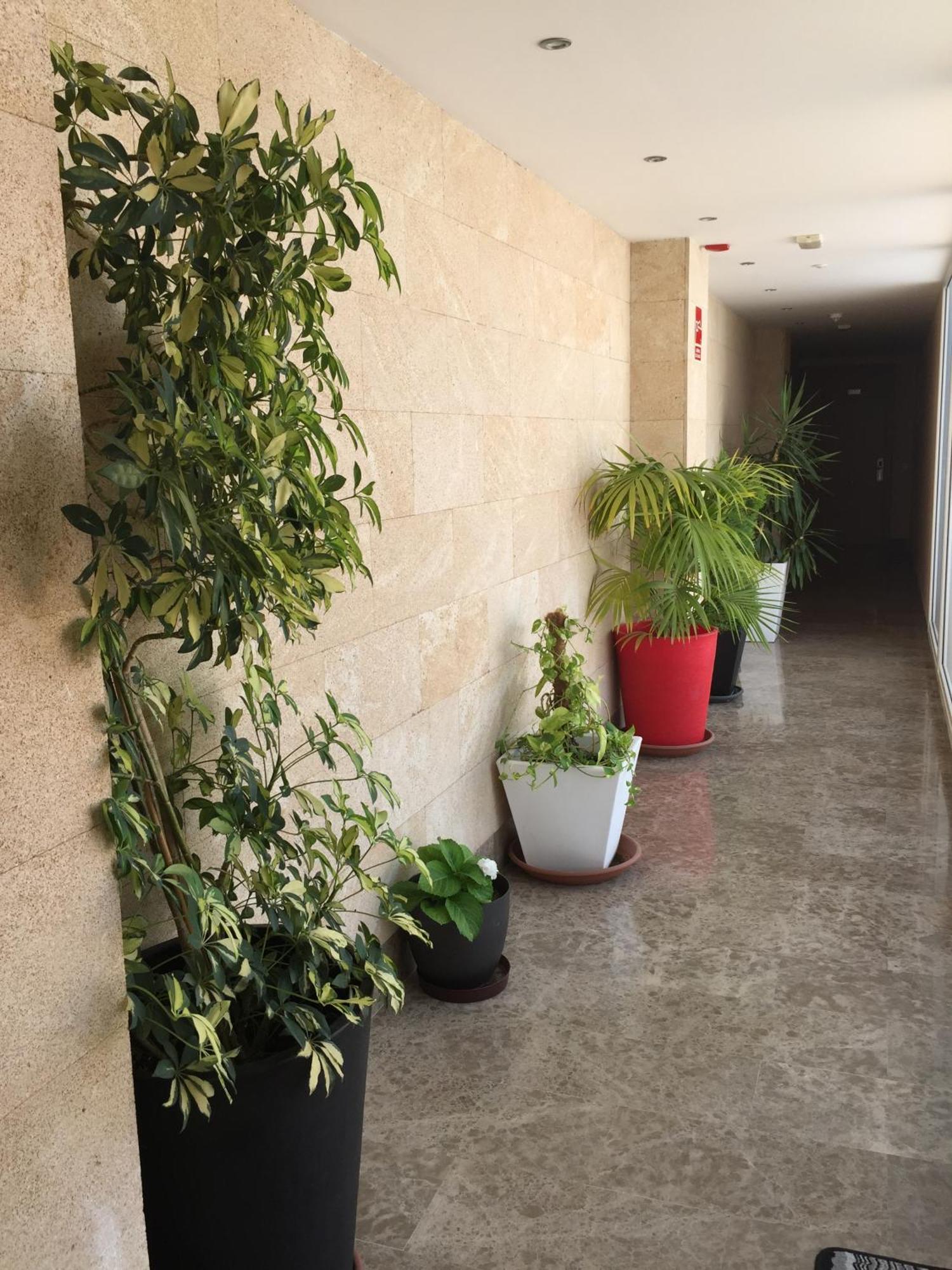 Apartamentos Parking Мерида Екстериор снимка